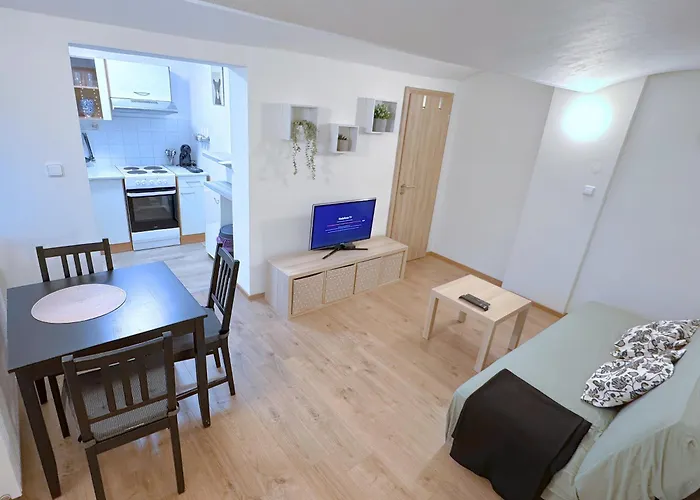 Zoubkova Apartment - 2 Rooms Near Exhibition Center